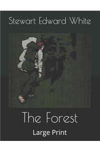 The Forest