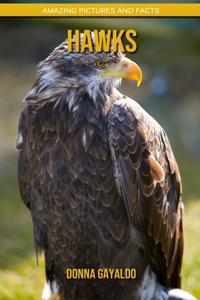 Hawks