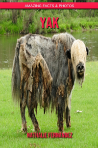 Yak