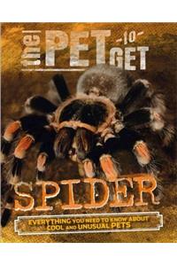 The Pet to Get: Spider