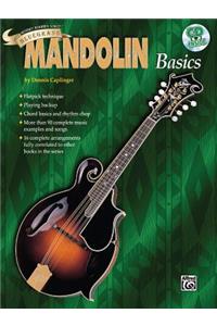 Bluegrass Mandolin Basics