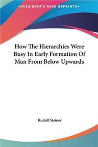 How The Hierarchies Were Busy In Early Formation Of Man From Below Upwards