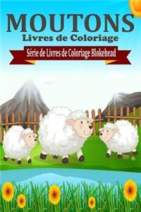 Moutons Livres de Coloriage
