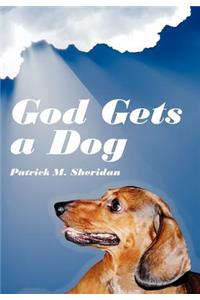God Gets a Dog