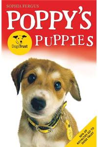 Poppy's Dogs Trust Puppies