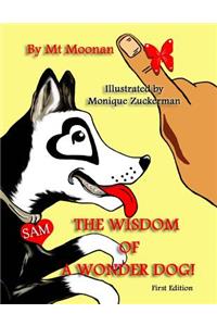 The Wisdom of a Wonder dog!