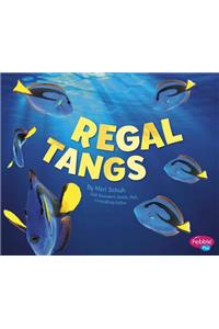 Regal Tangs