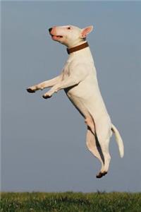 A Bull Terrier Dog Jumping for Joy Journal