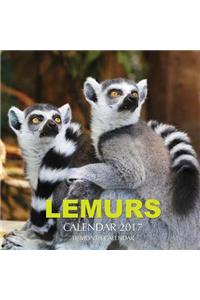 Lemurs Calendar 2017