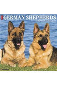 Just German Shepherds 2020 Wall Calendar (Dog Breed Calendar)