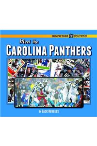 Meet the Carolina Panthers