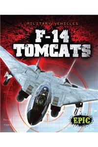 F-14 Tomcats