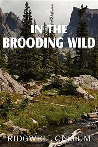 In the Brooding Wild