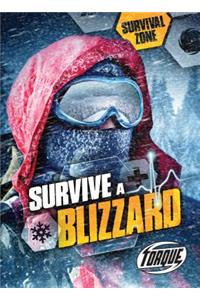 Survive a Blizzard