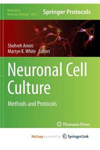 Neuronal Cell Culture