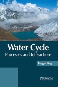 Water Cycle: Processes and Interactions