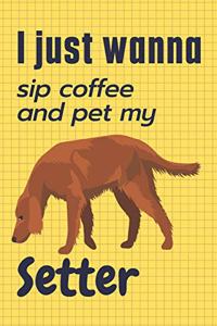 I just wanna sip coffee and pet my Setter