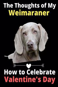 Thoughts of My Weimaraner