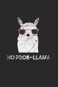 Llama Notebook