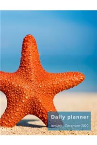 Daily Planner January-December 2020