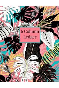 6 Column Ledger