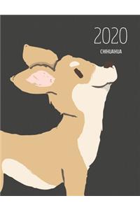 2020 Chihuahua