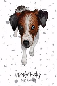 Labrador Husky 2020 Planner