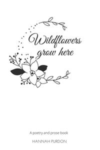 Wildflowers grow here