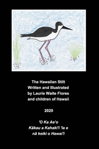 Hawaiian Stilt - A'eo