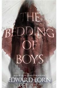 Bedding of Boys