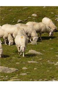 Sheep Notebook Large Size 8.5 x 11 Ruled 150 Pages Softcover