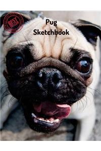 Pug Sketchbook