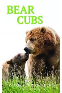 Bear Cubs Weekly 5 X 8 Planner 2019