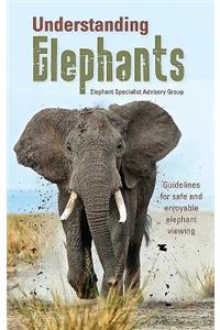 Understanding Elephants