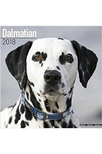 Dalmatian Calendar 2018 (Square)