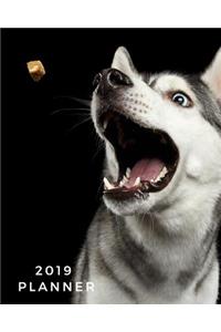 2019 Planner