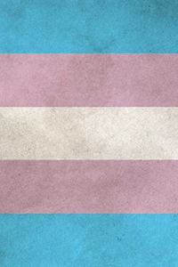 Transgender Pride Flag Journal