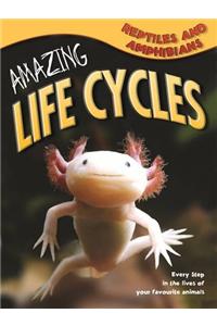 Amazing Life Cycles: Reptiles and Amphibians