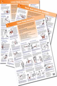 The Anatomy of Stretching Posters