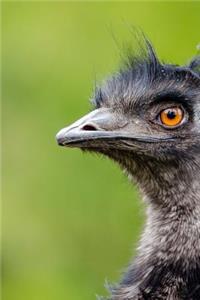 Side Profile of an Emu Journal