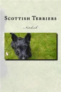 Scottish Terriers