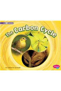 Carbon Cycle