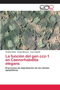 La función del gen ccz-1 en Caenorhabditis elegans