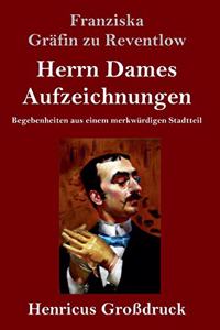 Herrn Dames Aufzeichnungen (Großdruck): Begebenheiten aus einem merkwürdigen Stadtteil