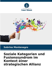 Soziale Kategorien und Fusionssyndrom im Kontext einer strategischen Allianz