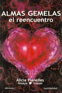 Almas gemelas, el reencuentro (Spanish Edition)