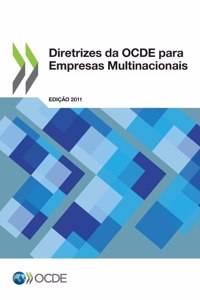 Diretrizes da OCDE para Empresas Multinacionais, Edicao 2011