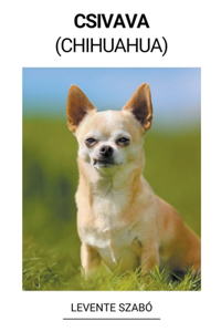 Csivava (Chihuahua)