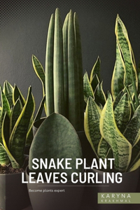 Snake Plant Leaves Curling