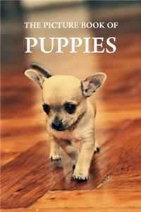 Picture Book of Puppies